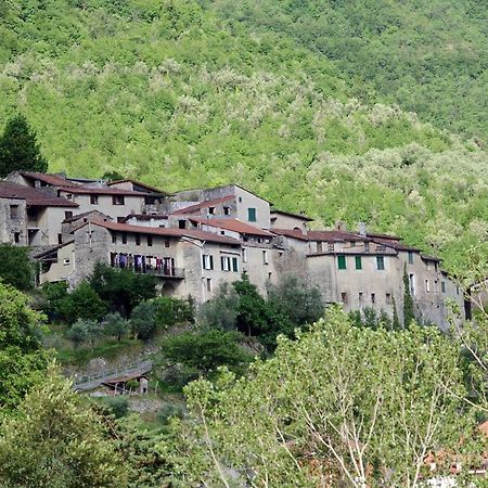 Agriturismo Mulino Del Castello Nasino Экстерьер фото